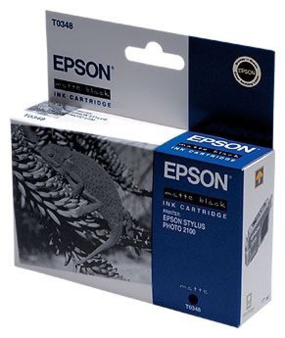 Картридж stylus. Картридж струйный Epson t0345 (c13t03454010). Epson photo 2100 картриджи. Картридж Epson c13t03484010. Картридж для струйного принтера Epson t0343 (c13t03434010).