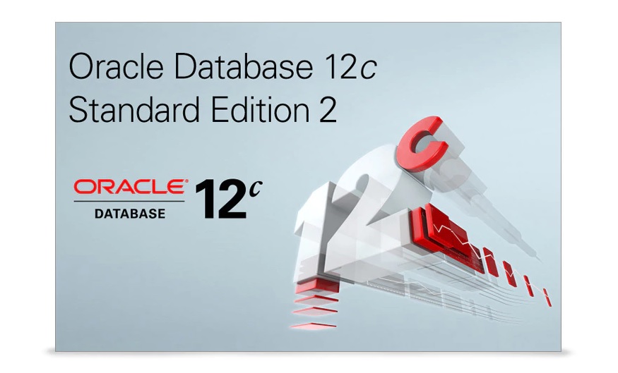 C standard. Oracle database 12c. Oracle database 12. Oracle database Standard Edition. Oracle 12c логотип.