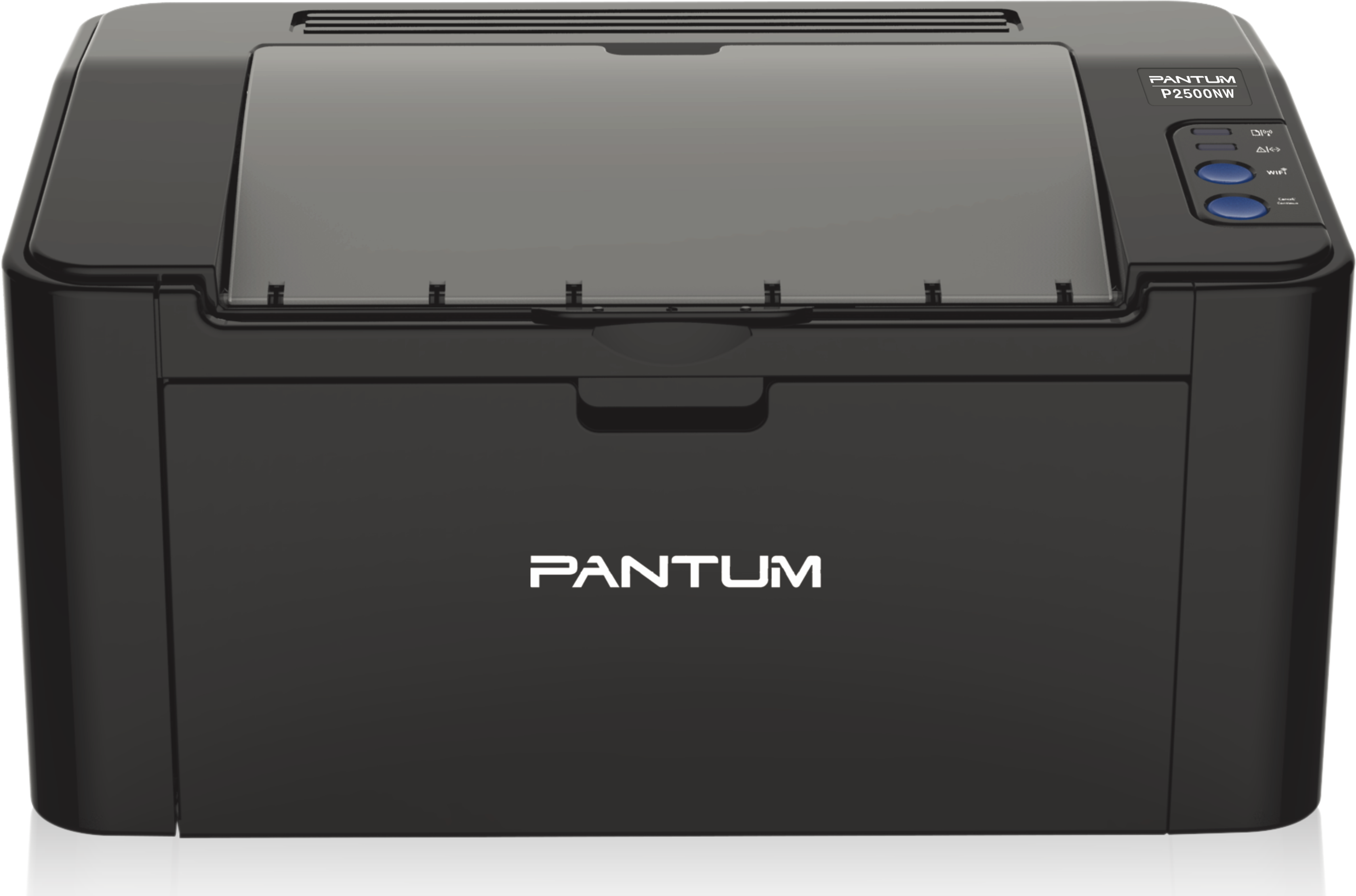 Купить принтер pantum p2500w. Pantum p2500w Black. Принтер лазерный Pantum p2207. Принтер лазерный Pantum p2500w. Принтер лазерный Pantum p2516.