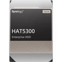 Synology HAT5300-12T HDD