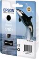 T760140 Epson <original>