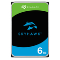 6TB Seagate SkyHawk