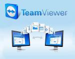 TeamViewer Business 1
