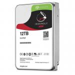 12TB Seagate Ironwolf