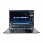 Thunderobot 911X Hunter Gaming E <12650H-16-512-4070-2.5K> Grey