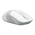 A4Tech Fstyler FG1010