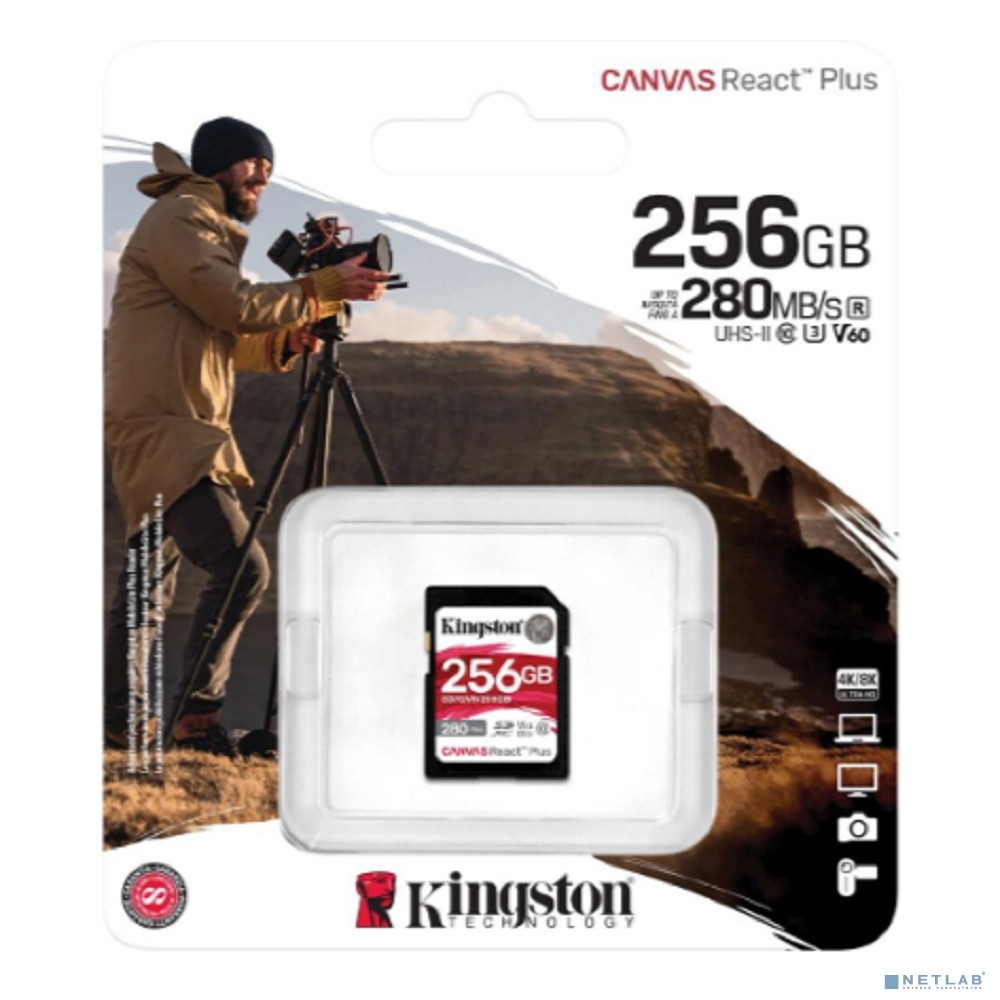 SecureDigital 256GB Kingston