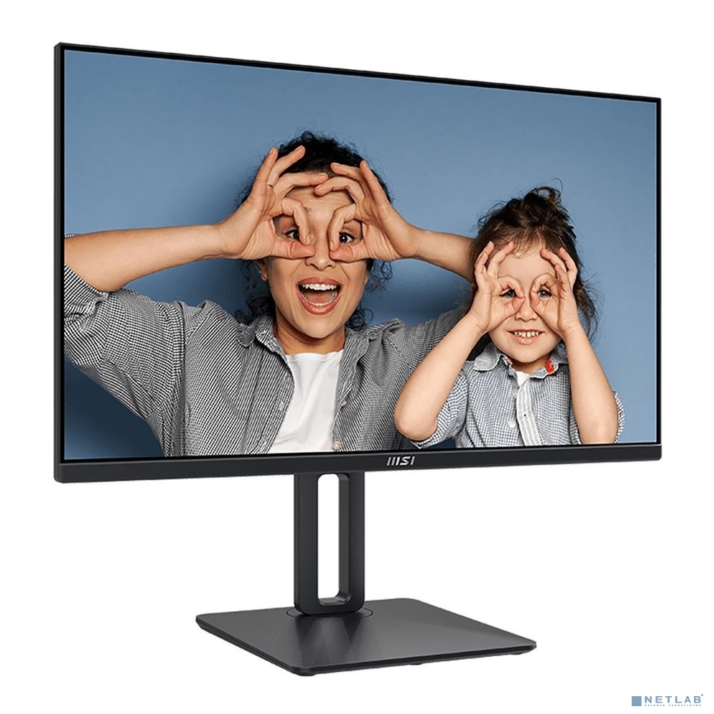 MSI PRO MP251P