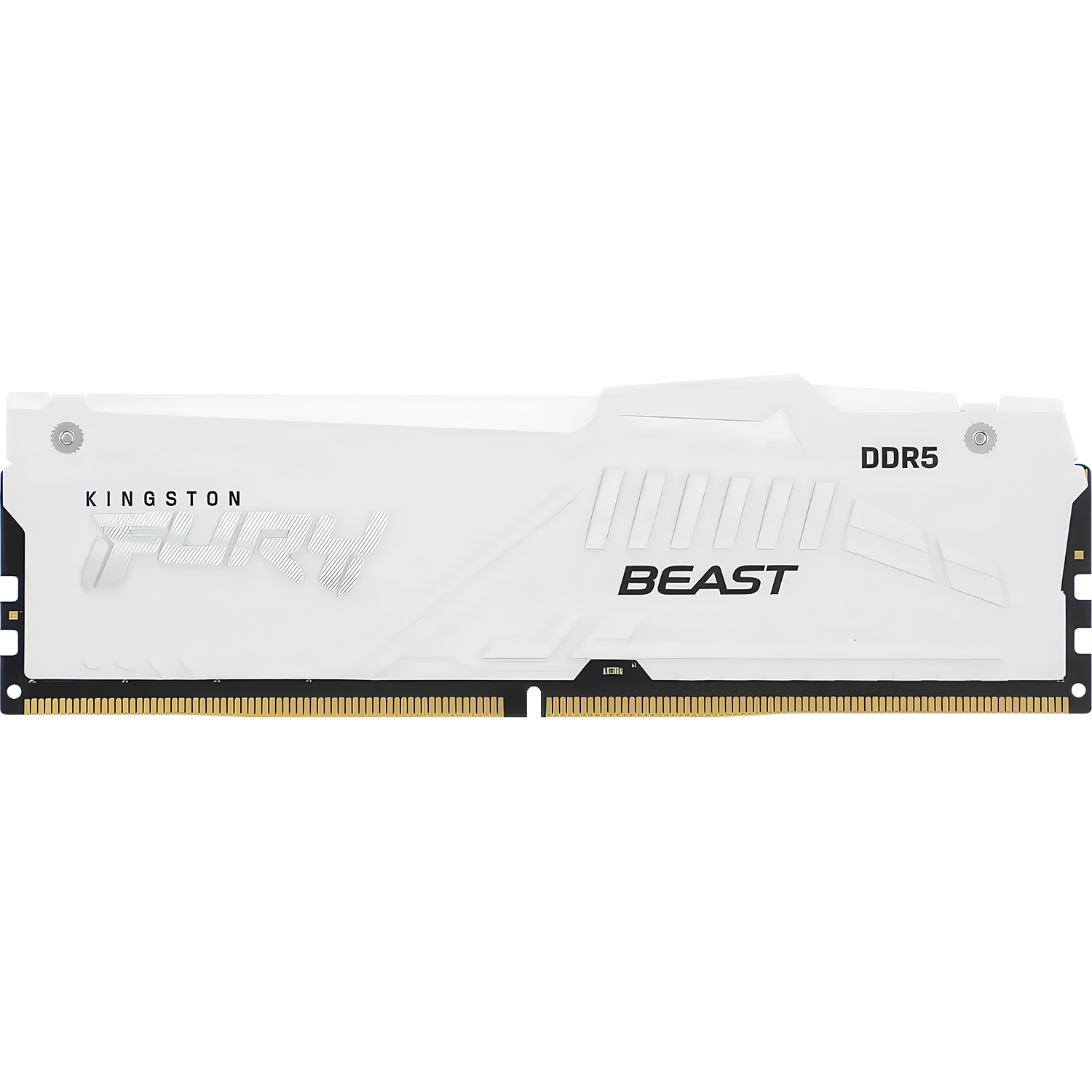 Kingston 64GB DDR5