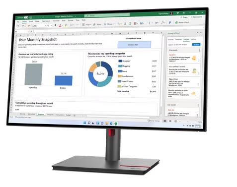 Lenovo ThinkVision P27h-30