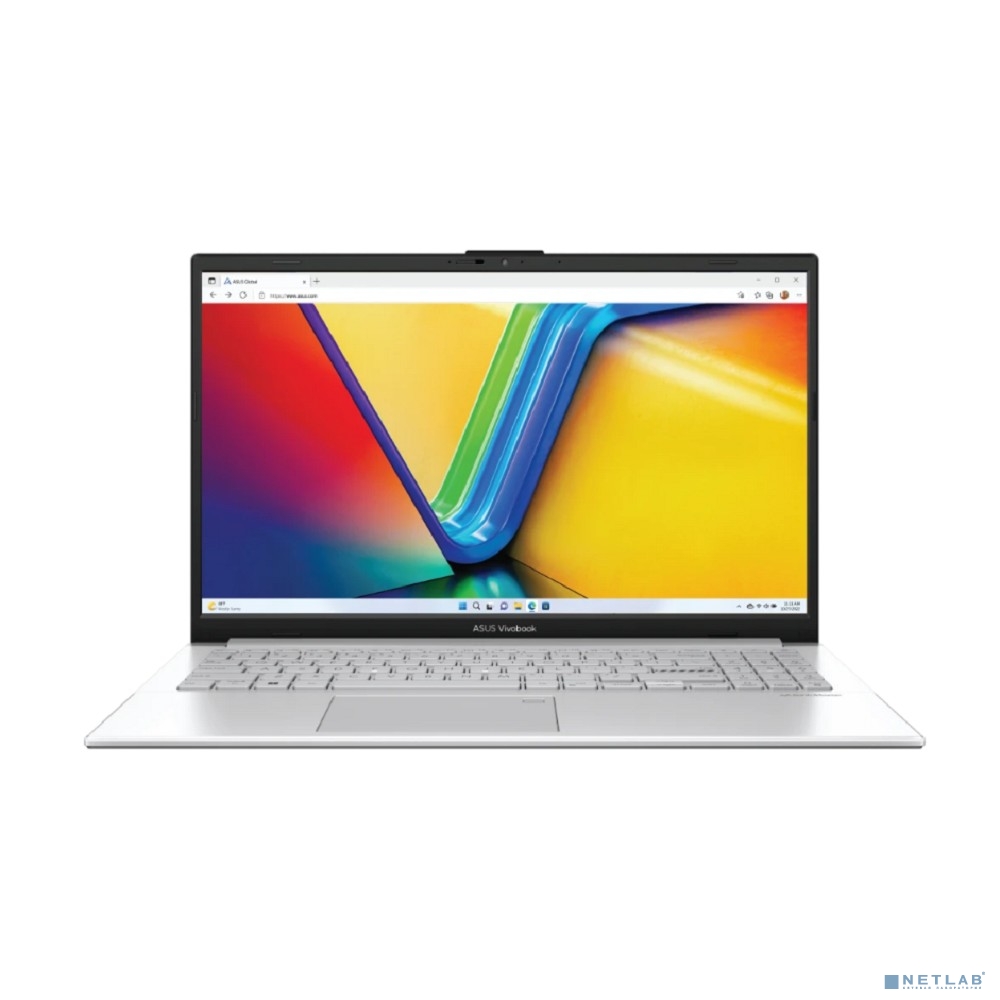 ASUS Vivobook Go