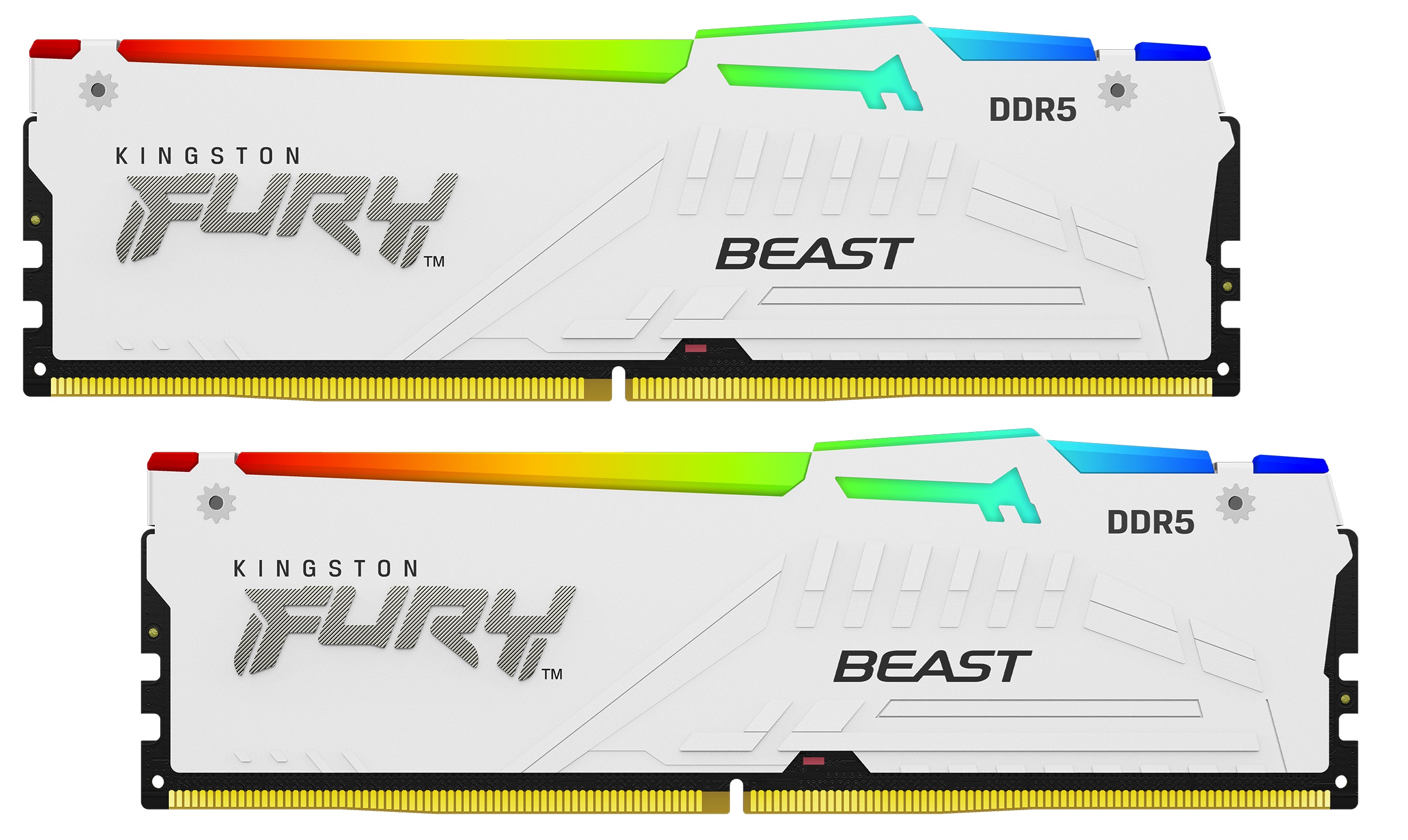 DDR5 64Gb Kingston