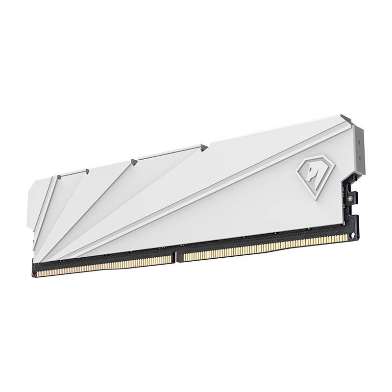 Netac Shadow S