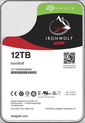 12TB Seagate Ironwolf
