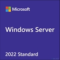 Windows P73-08337 Svr