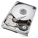 12TB Seagate Exos