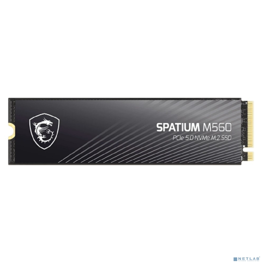 MSI SSD SPATIUM