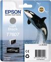 T760740 Epson <original>