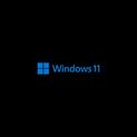 Microsoft Windows 11