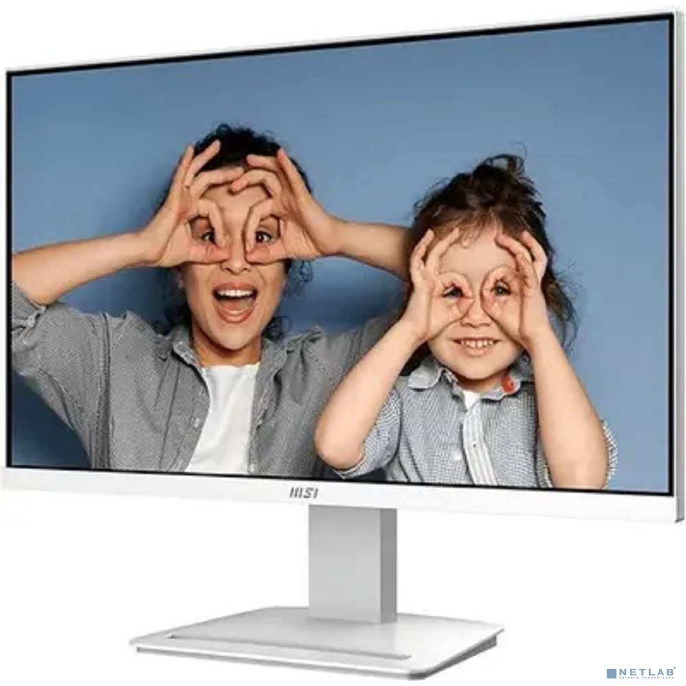 MSI PRO MP2412W