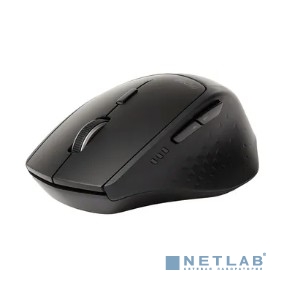 Мышь Rapoo MT550