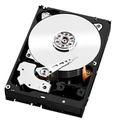 3.5" 8Tb Western