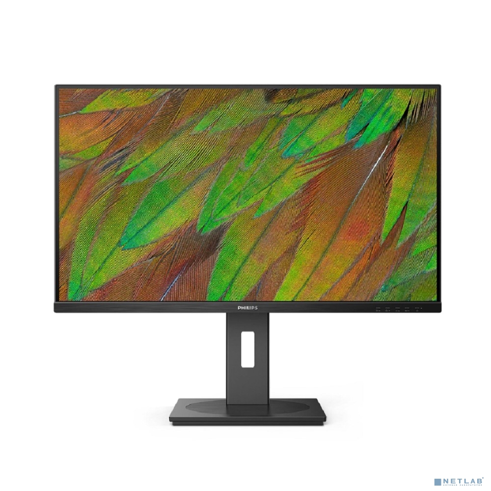 LCD PHILIPS 31.5"
