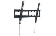 Wize [WT55] для